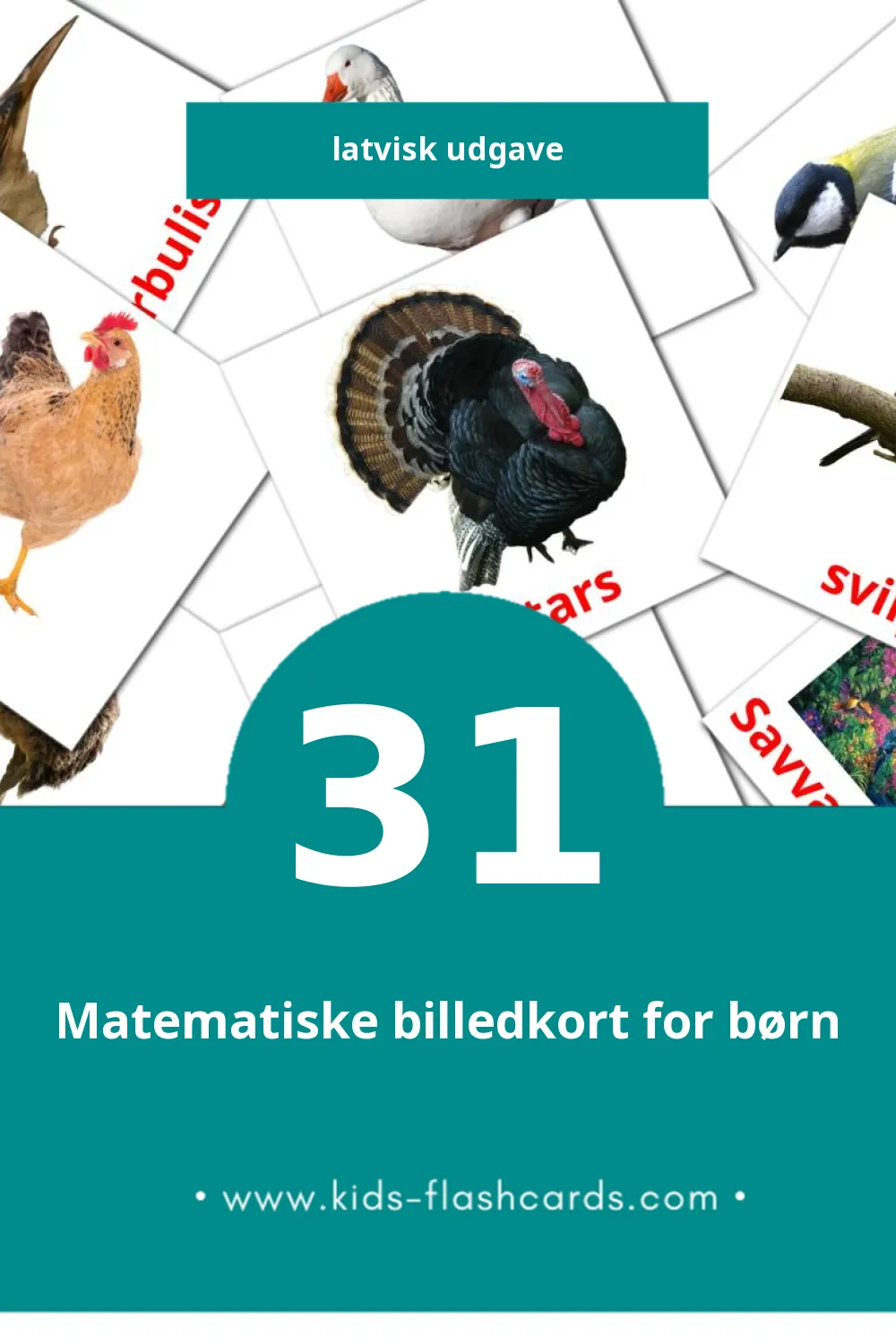 Visuelle billedkort for børn om Putni til småbørn (31 kort på Latvisk)