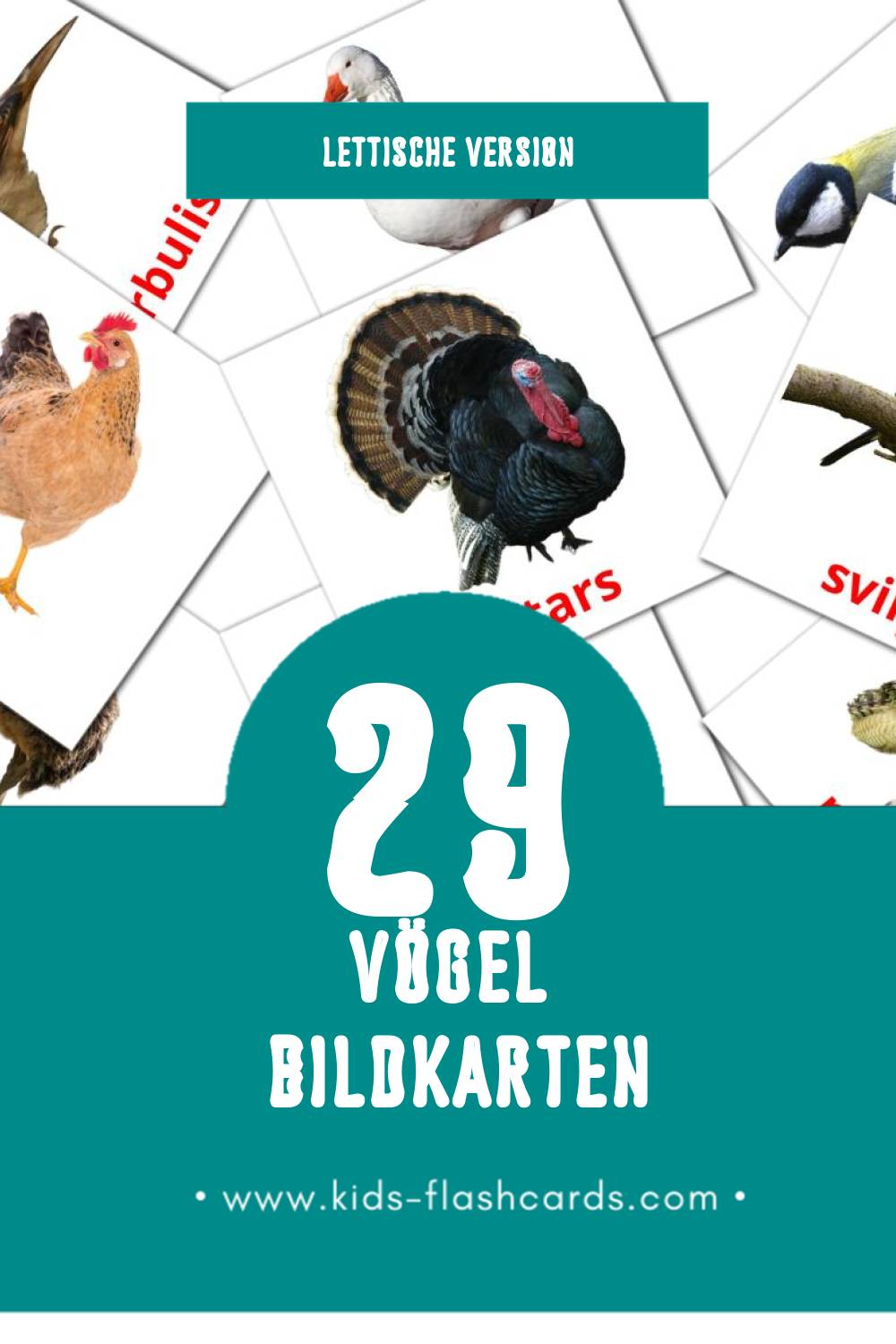 Visual Putni Flashcards für Kleinkinder (29 Karten in Lettisch)