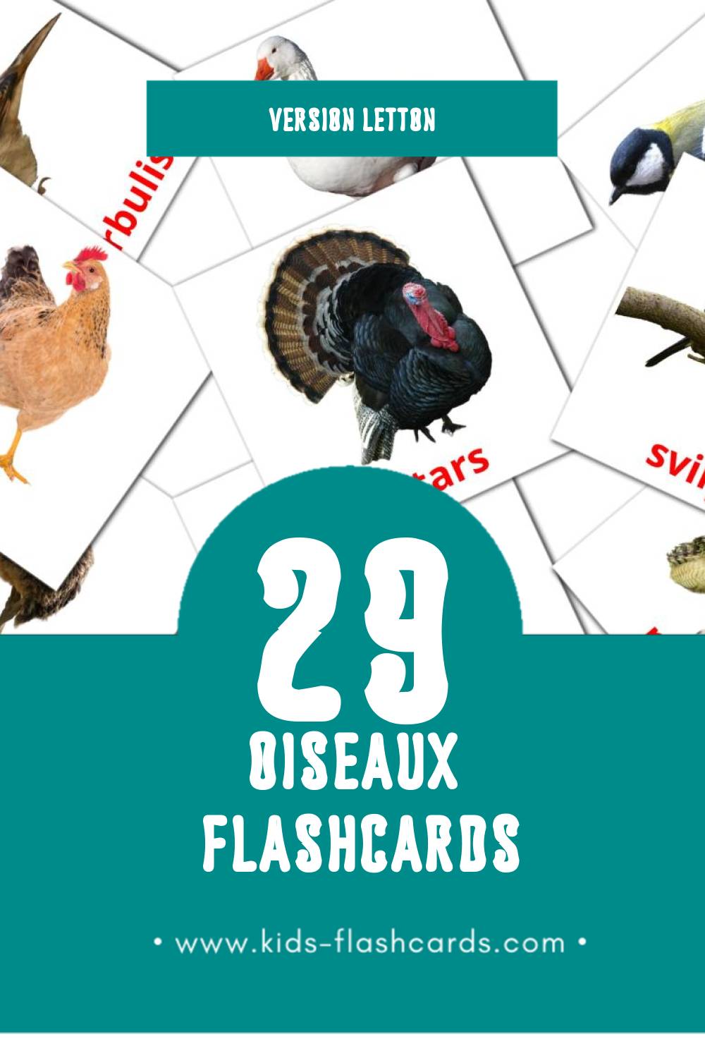 Flashcards Visual Putni pour les tout-petits (29 cartes en Letton)