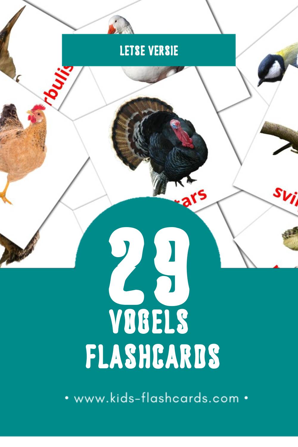 Visuele Putni Flashcards voor Kleuters (29 kaarten in het Lets)