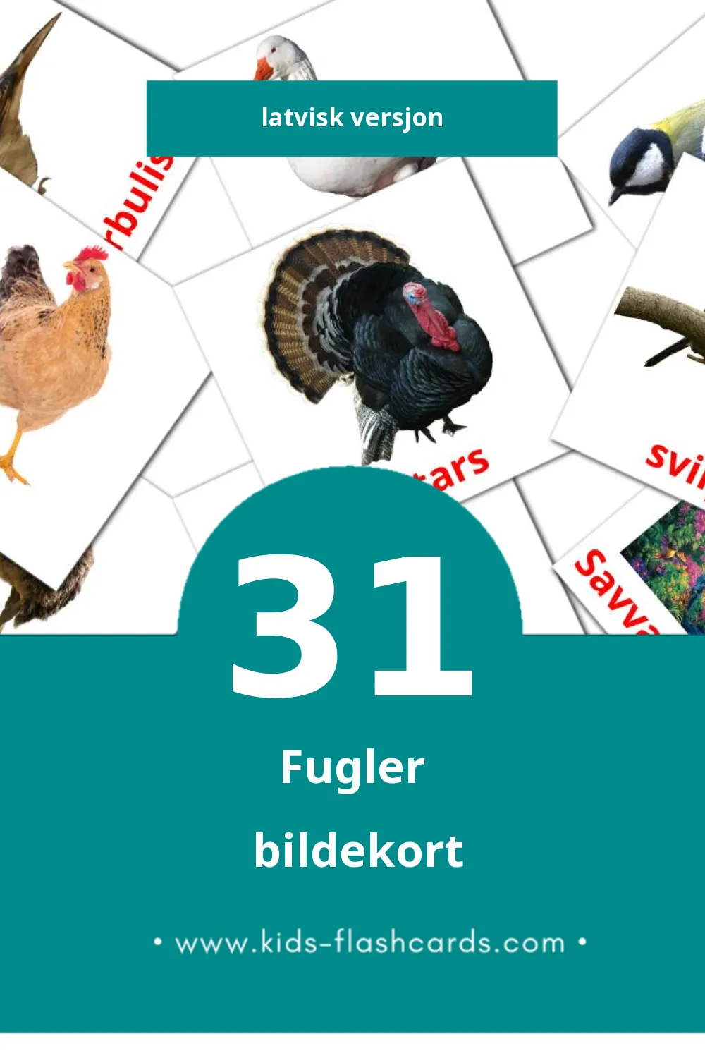 Visuelle Putni bildekort for småbarn (31 kort på Latvisk)