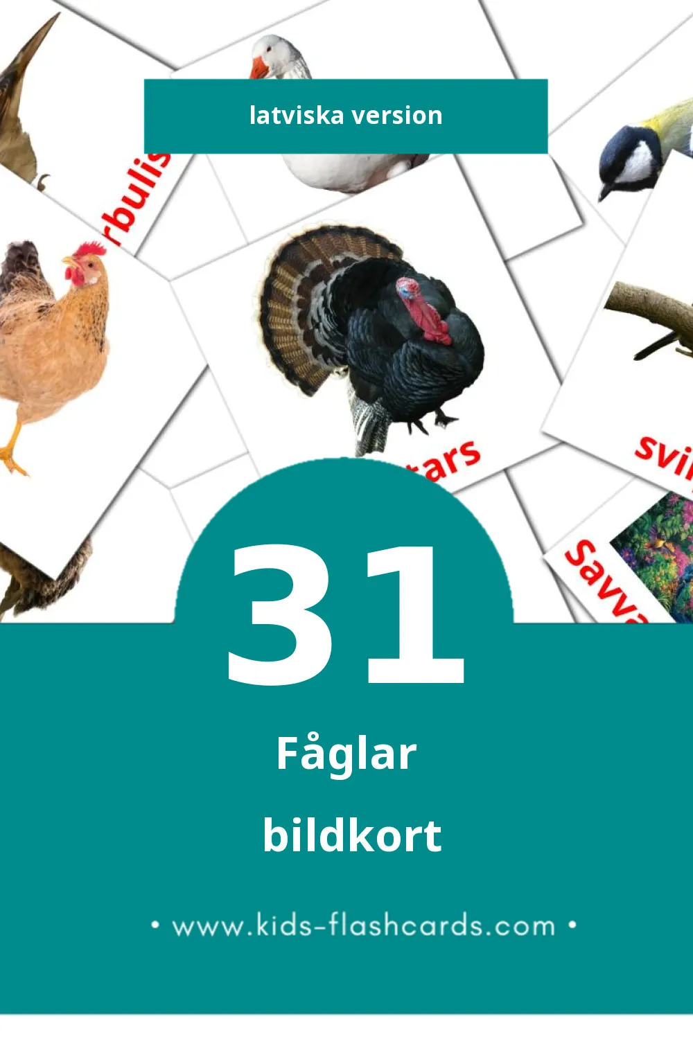 Visuella Putni för småbarn (31 bildkort för barn på Latviska)