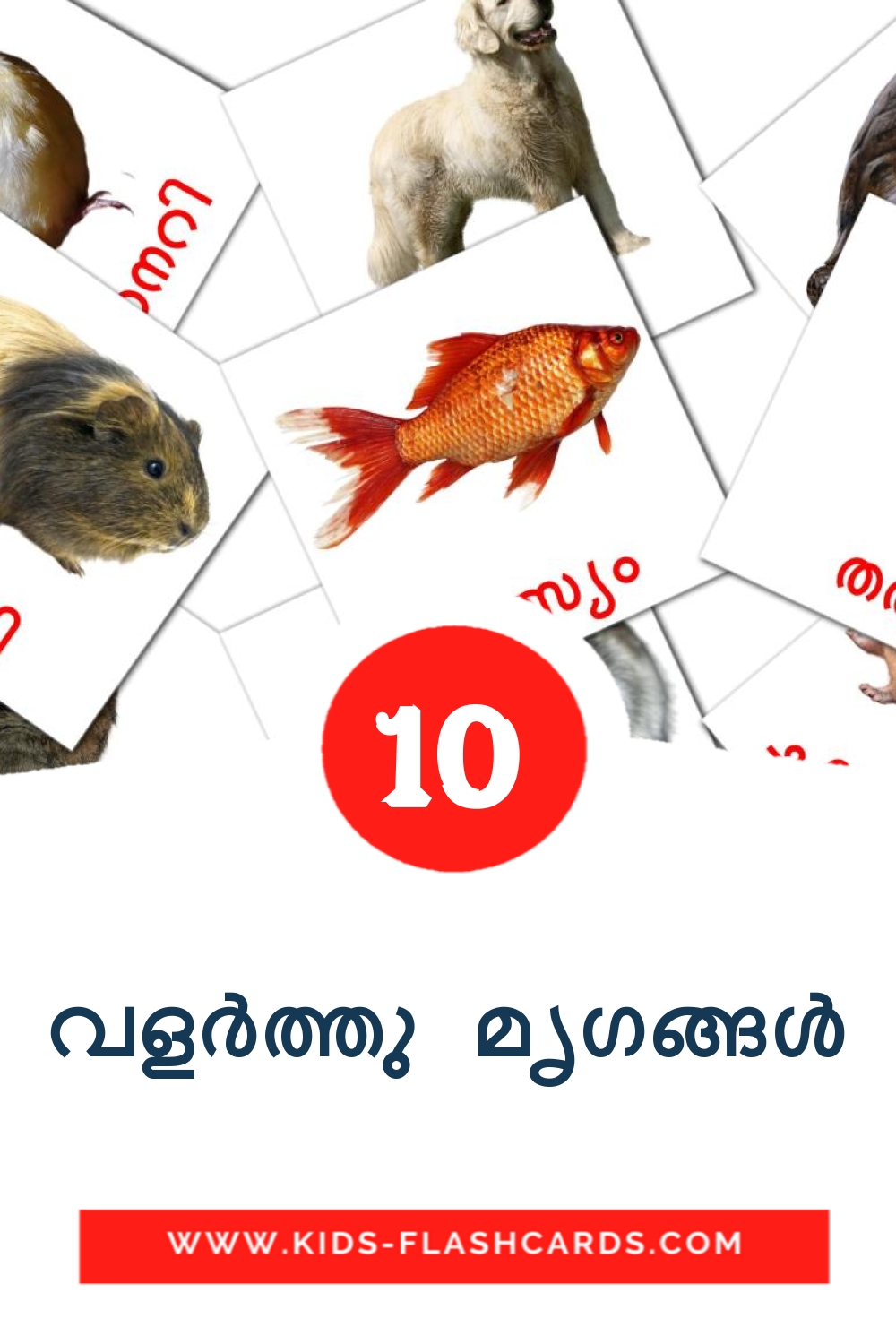 10 വളർത്തു മൃഗങ്ങൾ fotokaarten voor kleuters in het malayalam