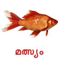 മത്സ്യം picture flashcards