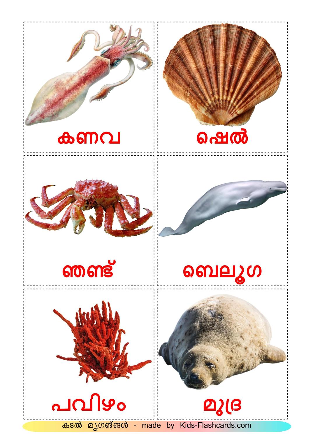 Les Animaux Marins - 29 Flashcards malayalam imprimables gratuitement