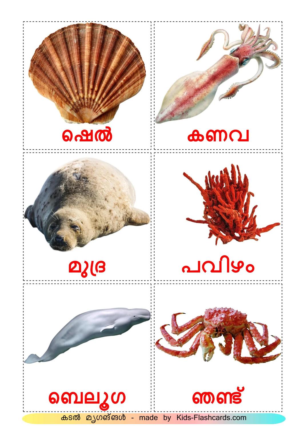 Animais Marinhos - 30 Flashcards malayalames gratuitos para impressão