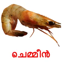 ചെമ്മീൻ cartões com imagens