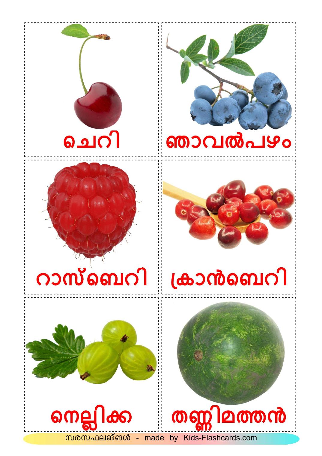 Berries - 11 Free Printable malayalam Flashcards 