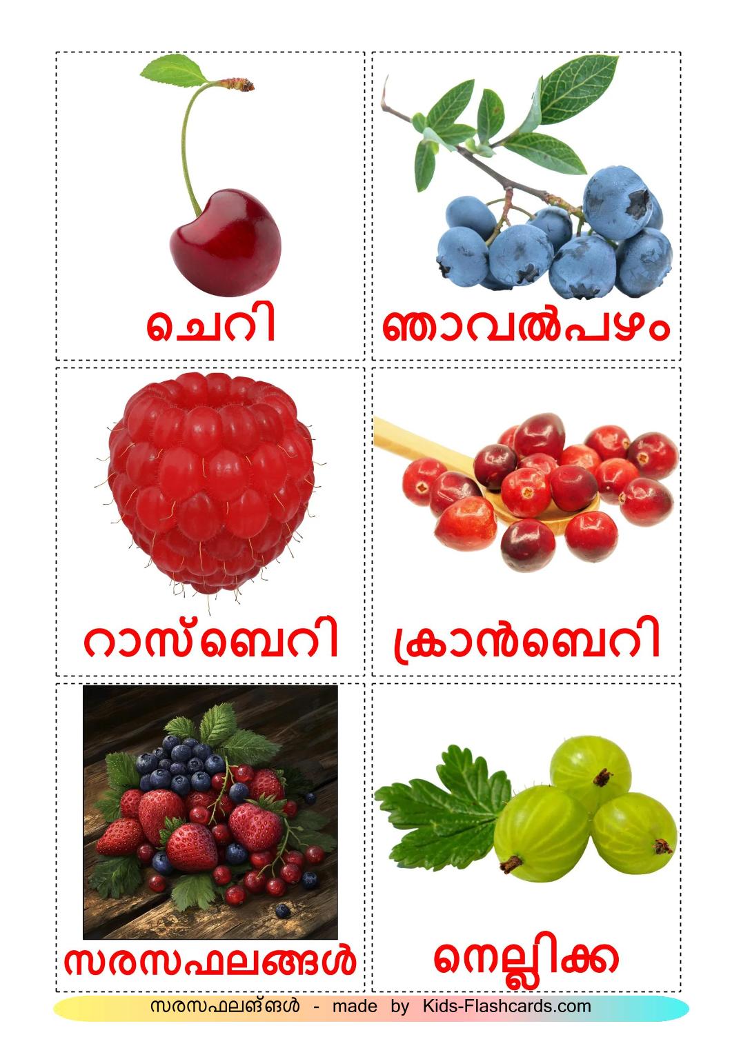 Berries - 12 Free Printable malayalam Flashcards 