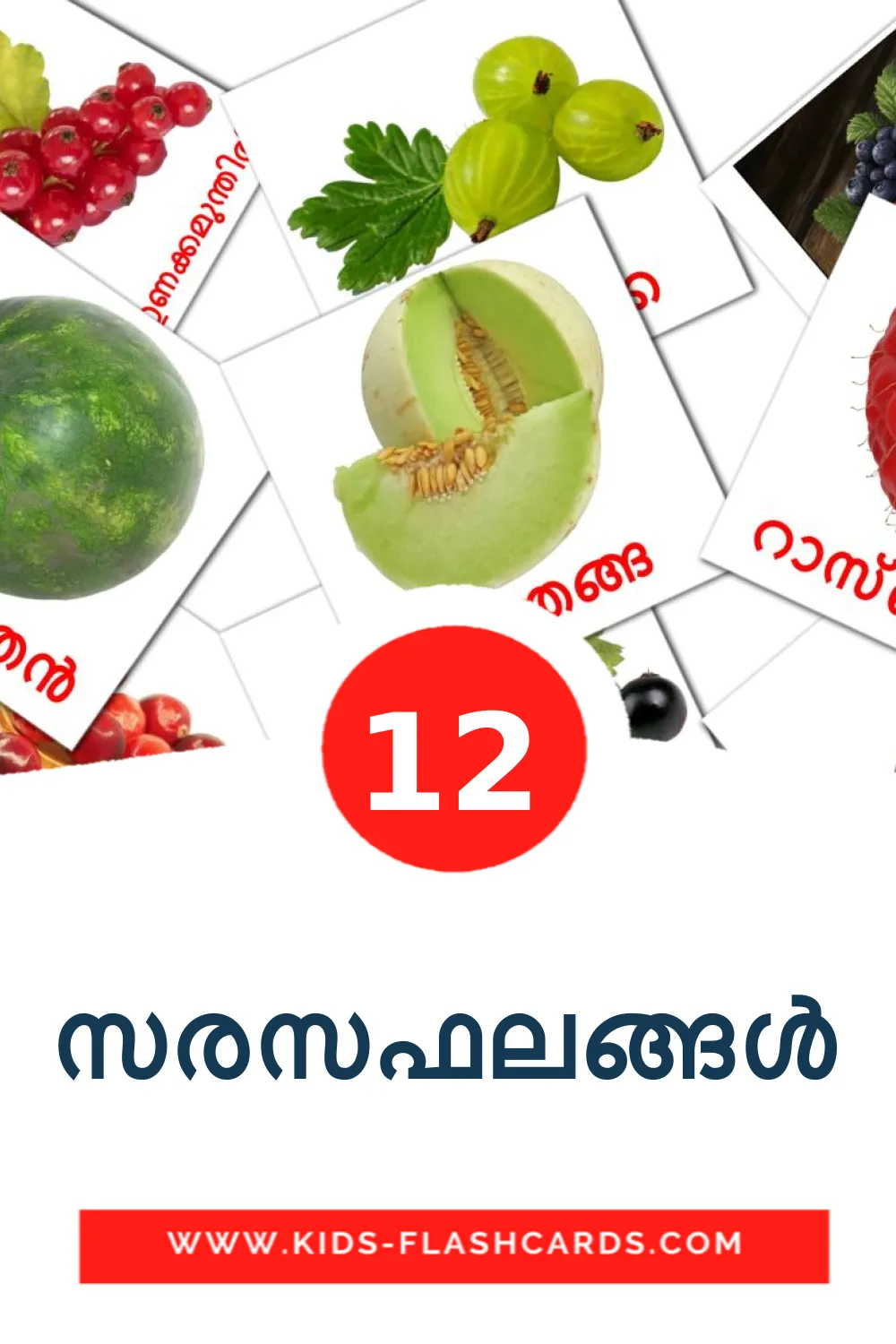 12 സരസഫലങ്ങൾ Picture Cards for Kindergarden in malayalam