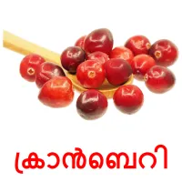 ക്രാൻബെറി picture flashcards