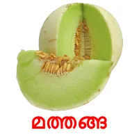 മത്തങ്ങ picture flashcards