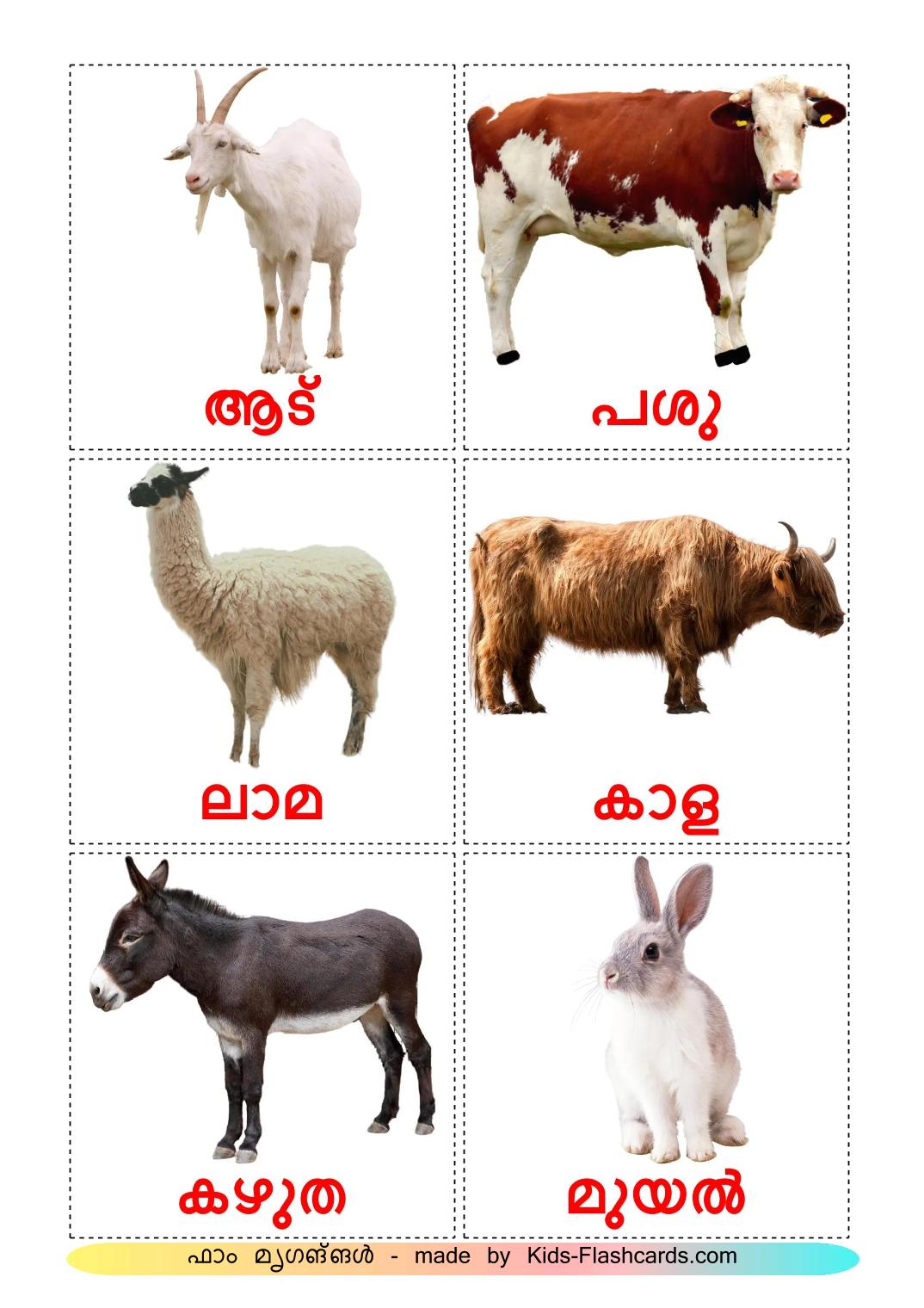 Farm animals - 16 Free Printable malayalam Flashcards 