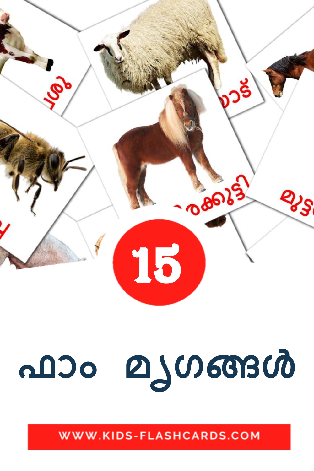 15 cartes illustrées de ഫാം മൃഗങ്ങൾ pour la maternelle en malayalam