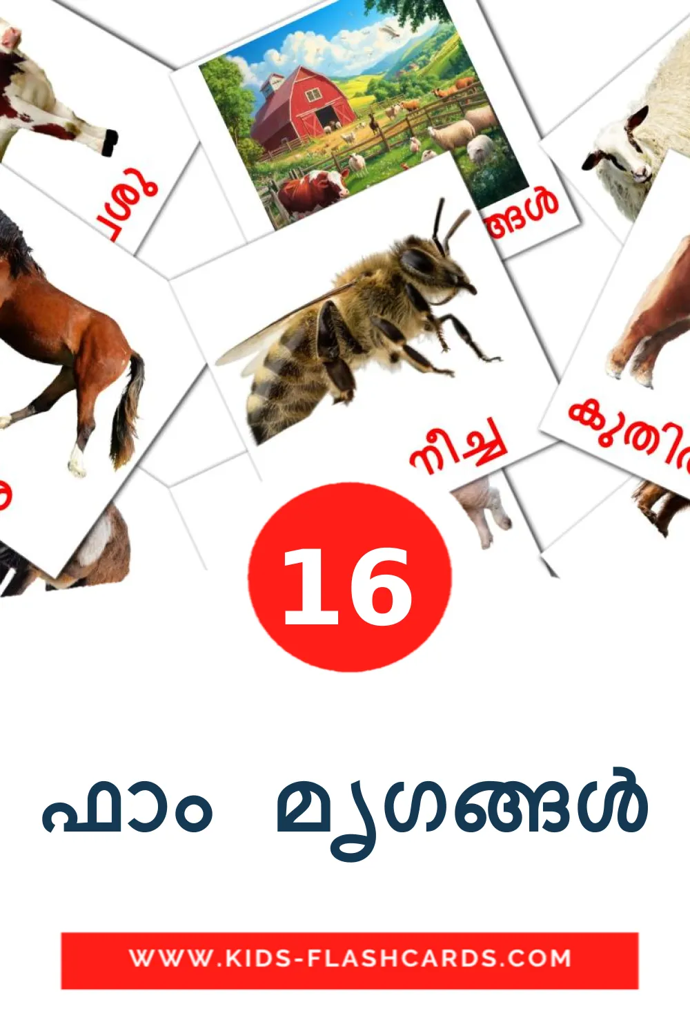 16 ഫാം മൃഗങ്ങൾ Picture Cards for Kindergarden in malayalam