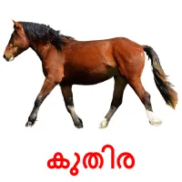 കുതിര picture flashcards