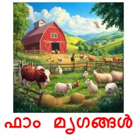 ഫാം മൃഗങ്ങൾ picture flashcards