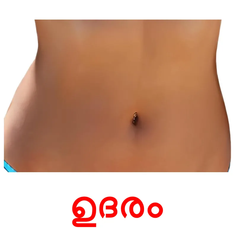 26 FREE Body Parts Flashcards PDF Malayalam Words