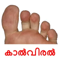 കാൽവിരൽ flashcards illustrate