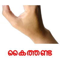 കൈത്തണ്ട flashcards illustrate