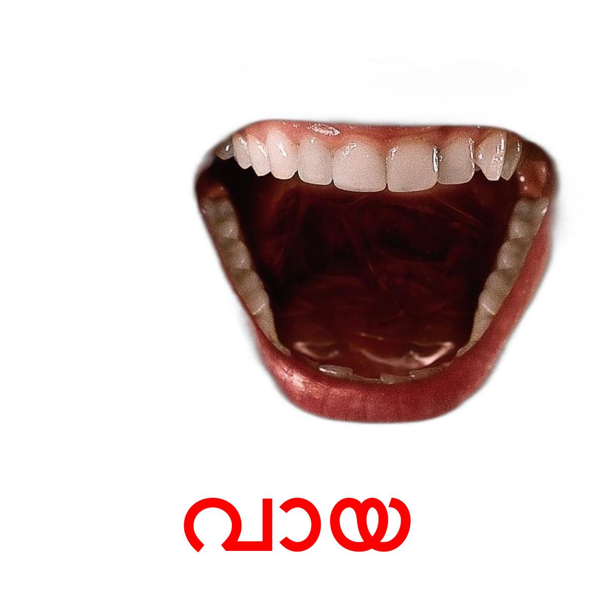 Губы без фона