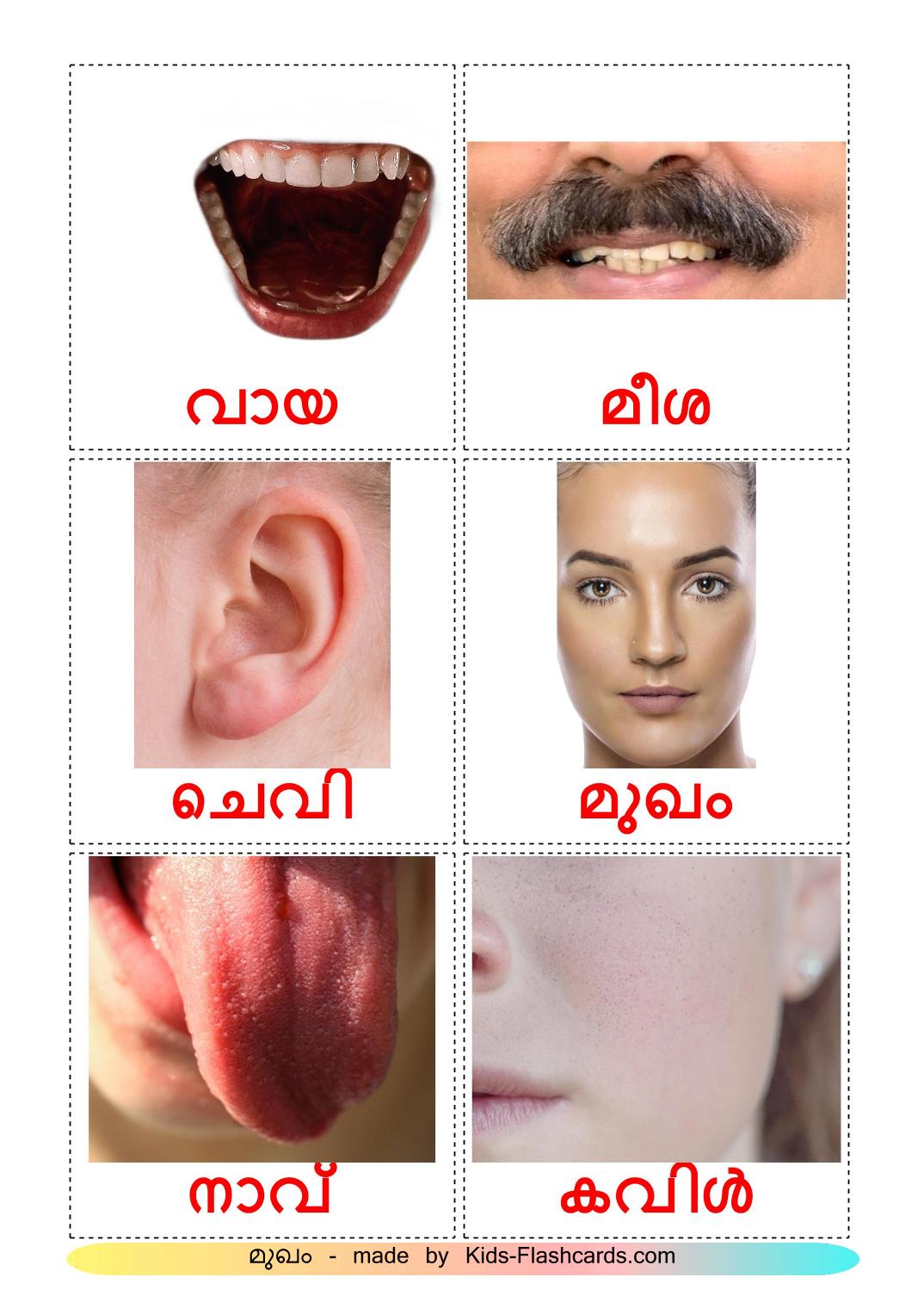 Gesicht - 20 fichas de Malayalam para imprimir gratis 