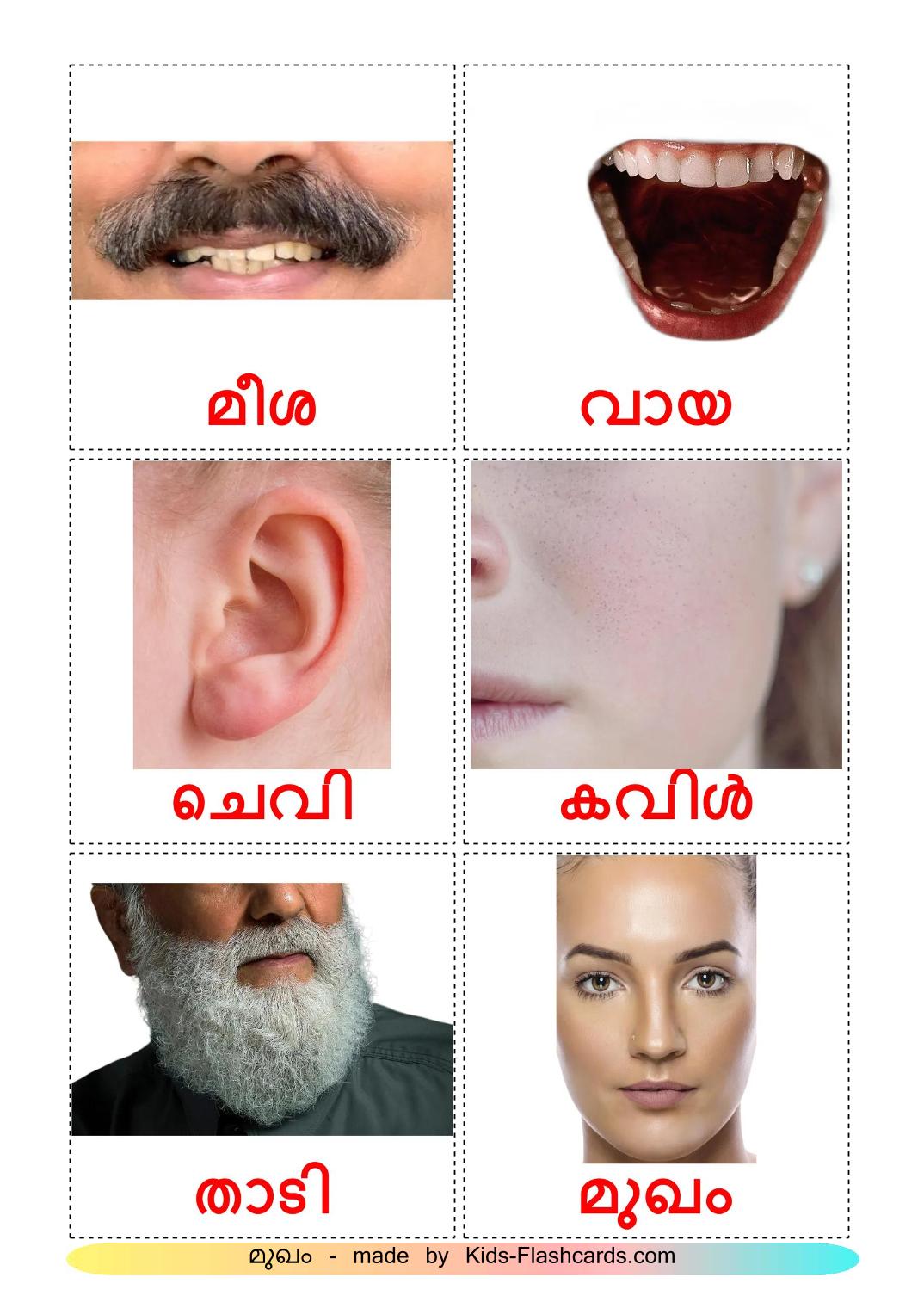 Partes de la Cara - 20 fichas de malayalam para imprimir gratis 