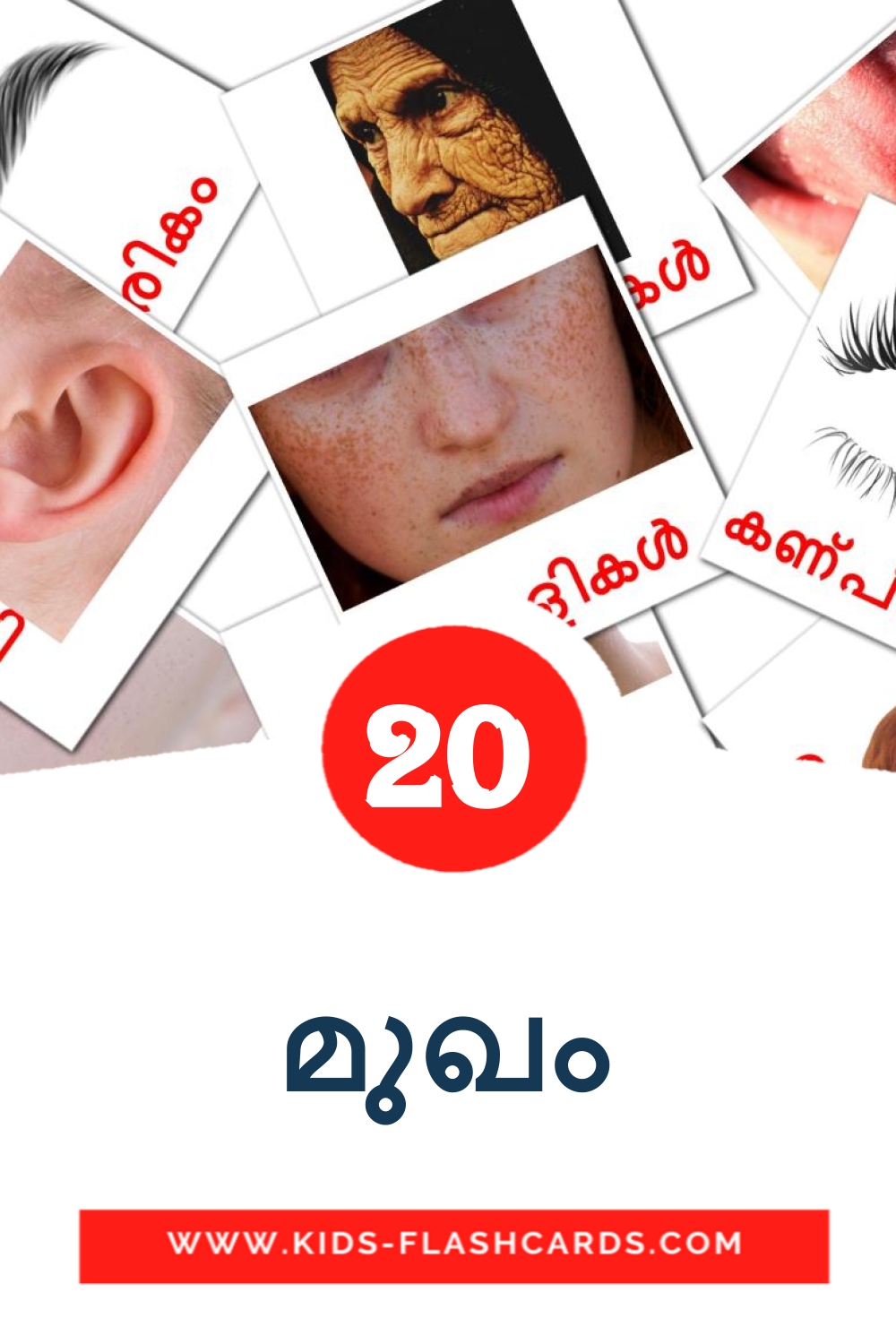 20 cartes illustrées de മുഖം pour la maternelle en malayalam
