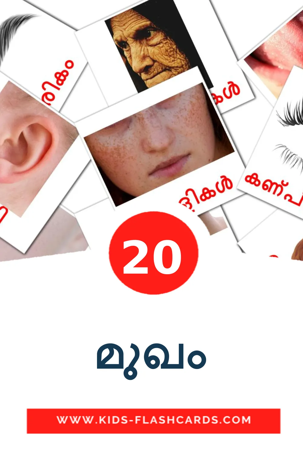 20 tarjetas didacticas de മുഖം para el jardín de infancia en malayalam