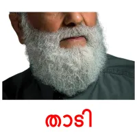 താടി flashcards illustrate