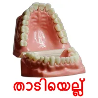 താടിയെല്ല് Tarjetas didacticas