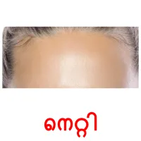 നെറ്റി flashcards illustrate