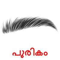 പുരികം picture flashcards