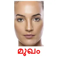 മുഖം picture flashcards