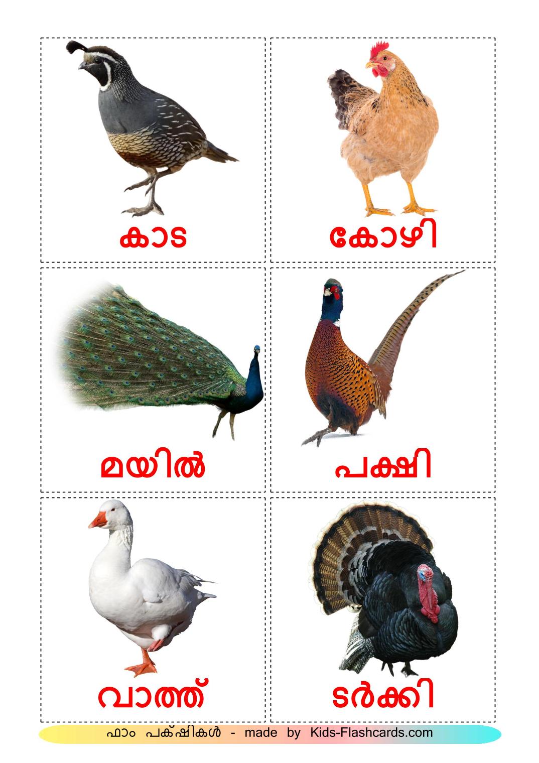 Aves da Quinta - 11 Flashcards malayalames gratuitos para impressão