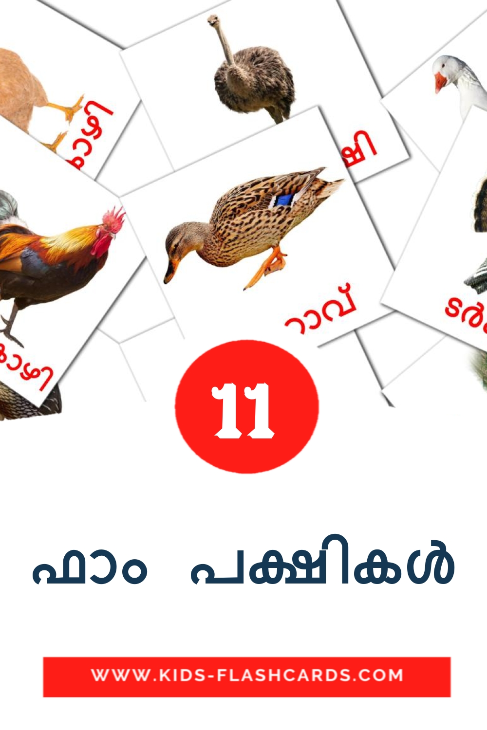 11 cartes illustrées de ഫാം പക്ഷികൾ pour la maternelle en malayalam