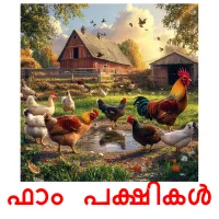 ഫാം പക്ഷികൾ picture flashcards