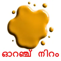 ഓറഞ്ച് നിറം picture flashcards