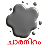 ചാരനിറം picture flashcards