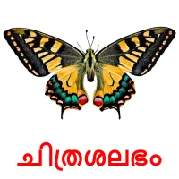 23 FREE Insects Flashcards in 4 PDF formats | Malayalam Pictures