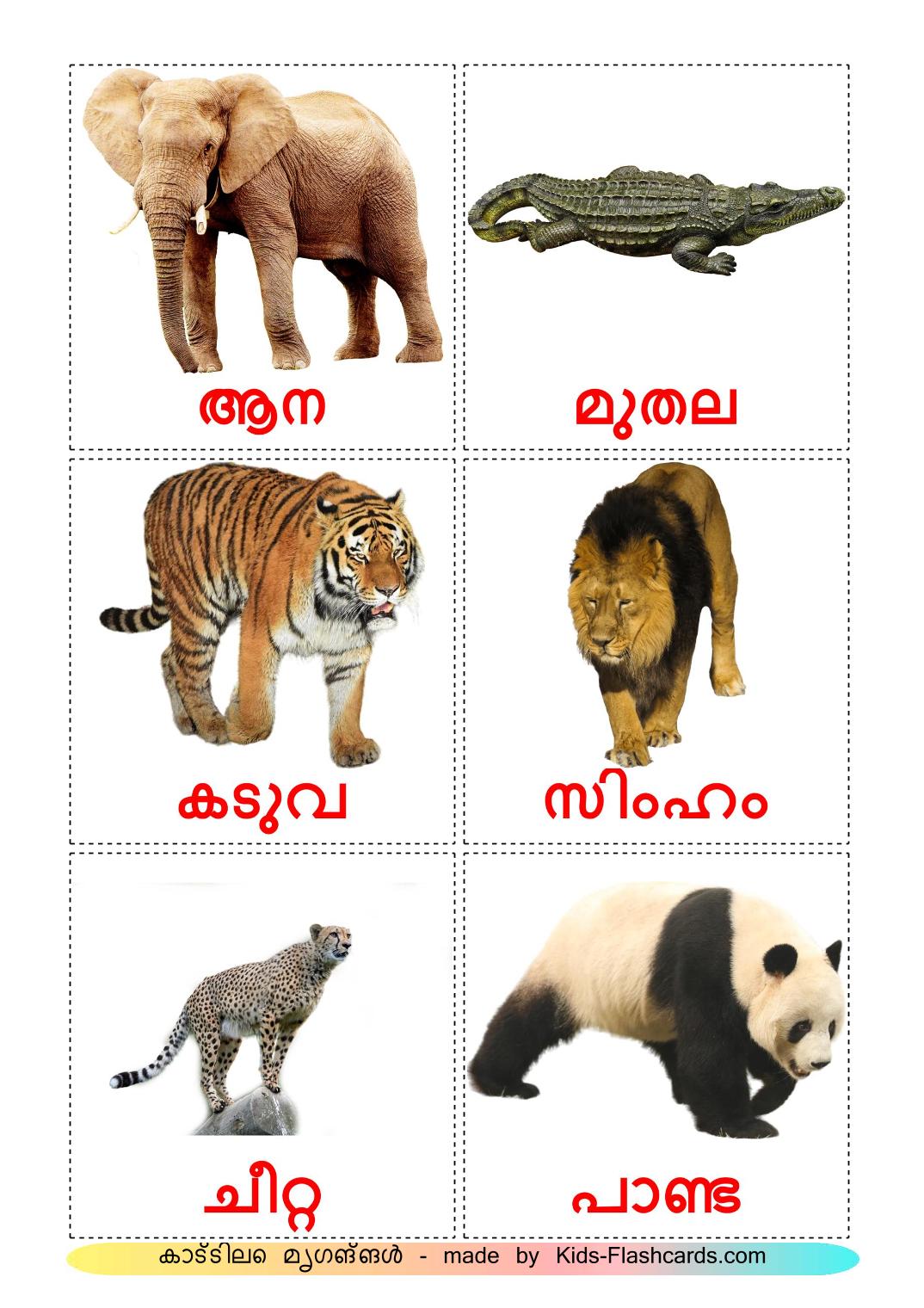 Animali della giungla - 21 flashcards malayalam stampabili gratuitamente