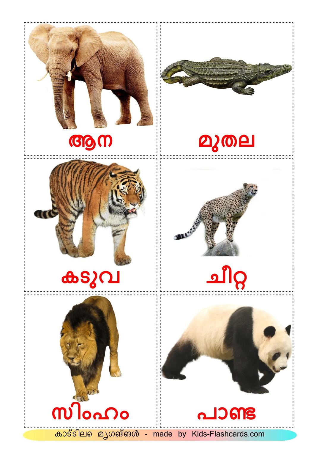 Animais da Selva - 22 Flashcards malayalames gratuitos para impressão