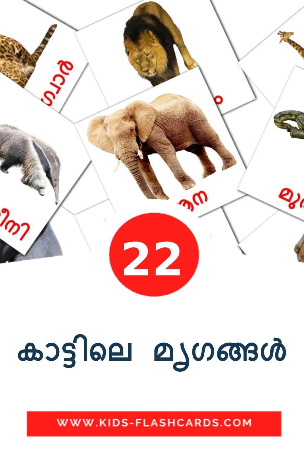 22 Cartões com Imagens de കാട്ടിലെ മൃഗങ്ങൾ para Jardim de Infância em malayalam