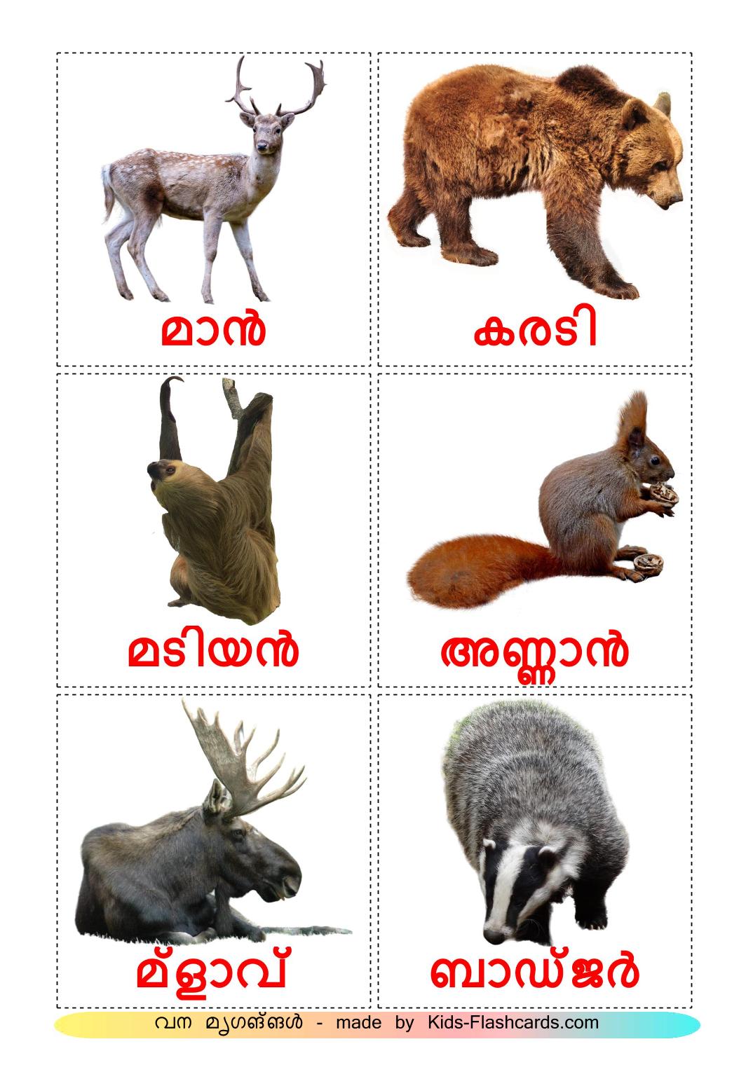 Les Animaux de la Forêt - 22 Flashcards malayalam imprimables gratuitement