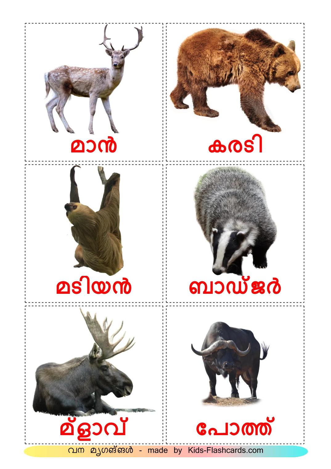 Animais da Floresta - 23 Flashcards malayalames gratuitos para impressão