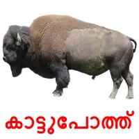 കാട്ടുപോത്ത് cartões com imagens