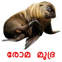 രോമ മുദ്ര picture flashcards