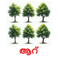 ആറ് picture flashcards