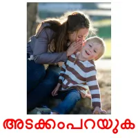 അടക്കംപറയുക flashcards illustrate