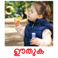 ഊതുക flashcards illustrate